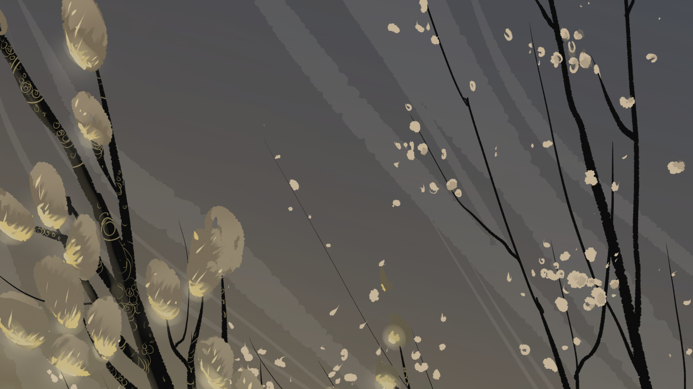 Fleurs Blanches Avec Des Gouttelettes D'eau. Wallpaper in 1366x768 Resolution