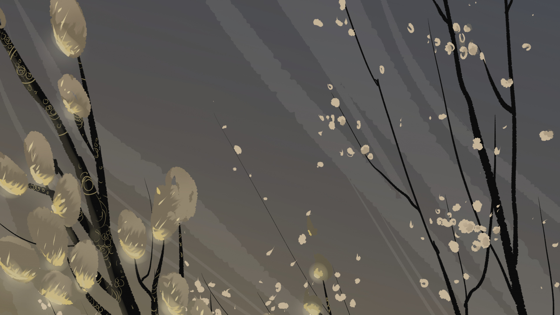 Fleurs Blanches Avec Des Gouttelettes D'eau. Wallpaper in 1920x1080 Resolution