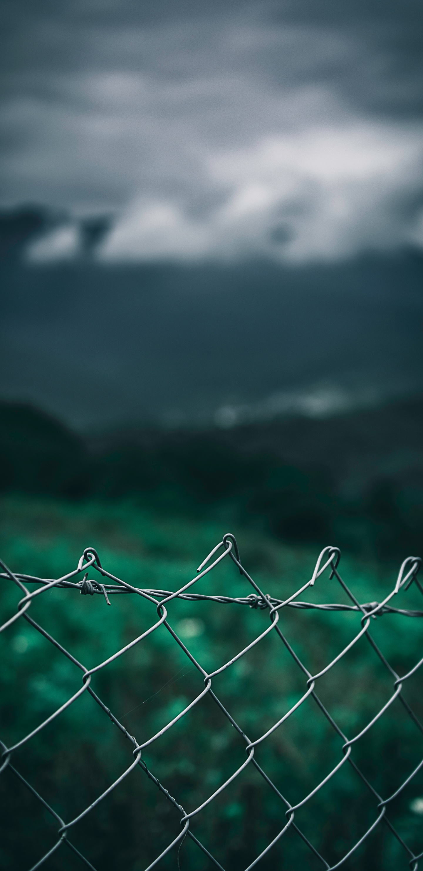 Gray Metal Fence With Water Droplets. Wallpaper in 1440x2960 Resolution