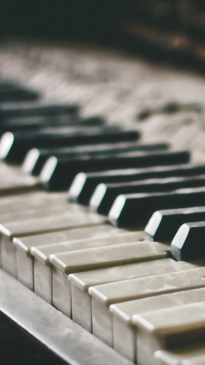 Piano, Nota Musical, Partitura, Teclado, Texto. Wallpaper in 720x1280 Resolution