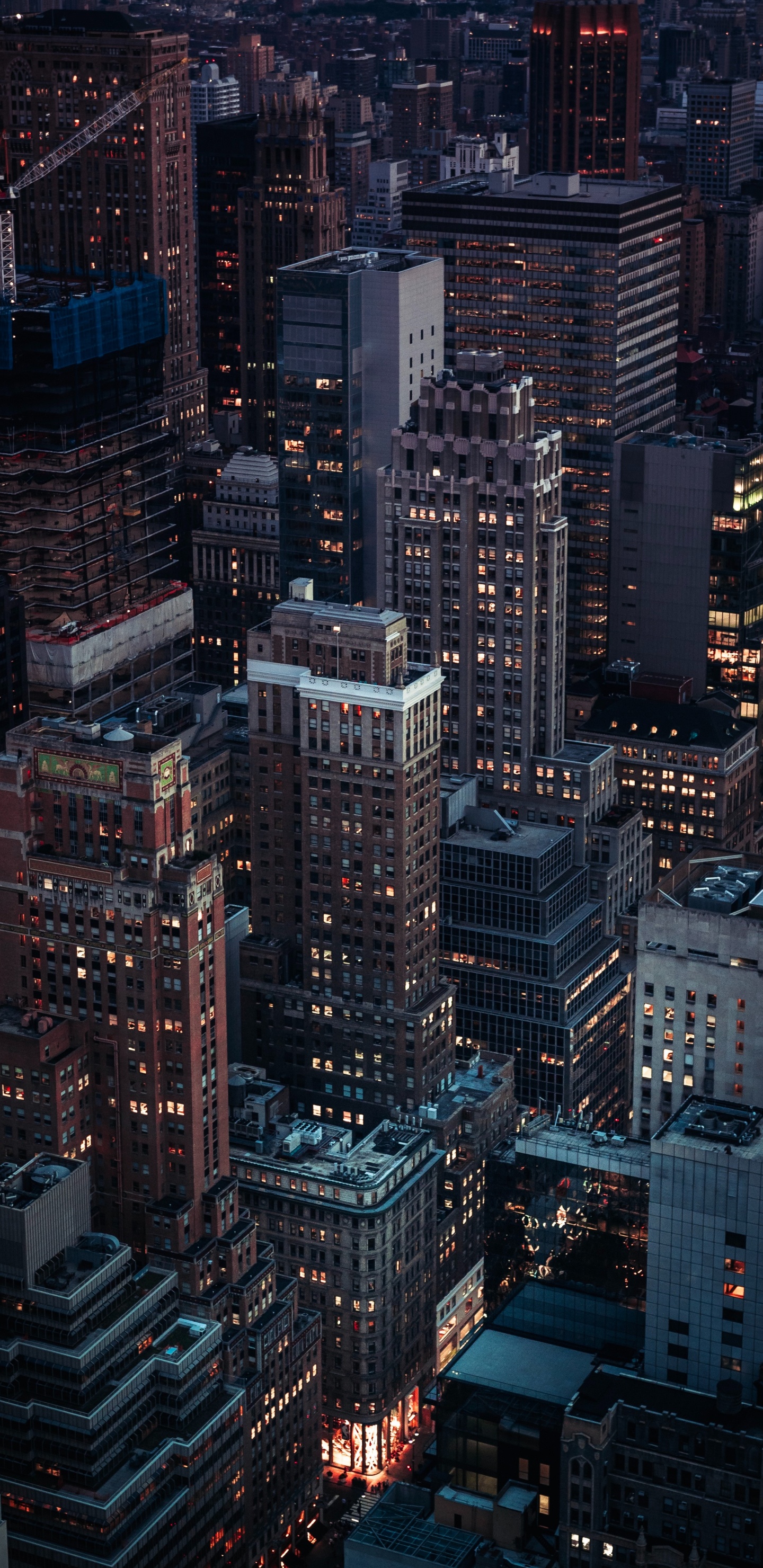 Edificios de Gran Altura Durante la Noche. Wallpaper in 1440x2960 Resolution