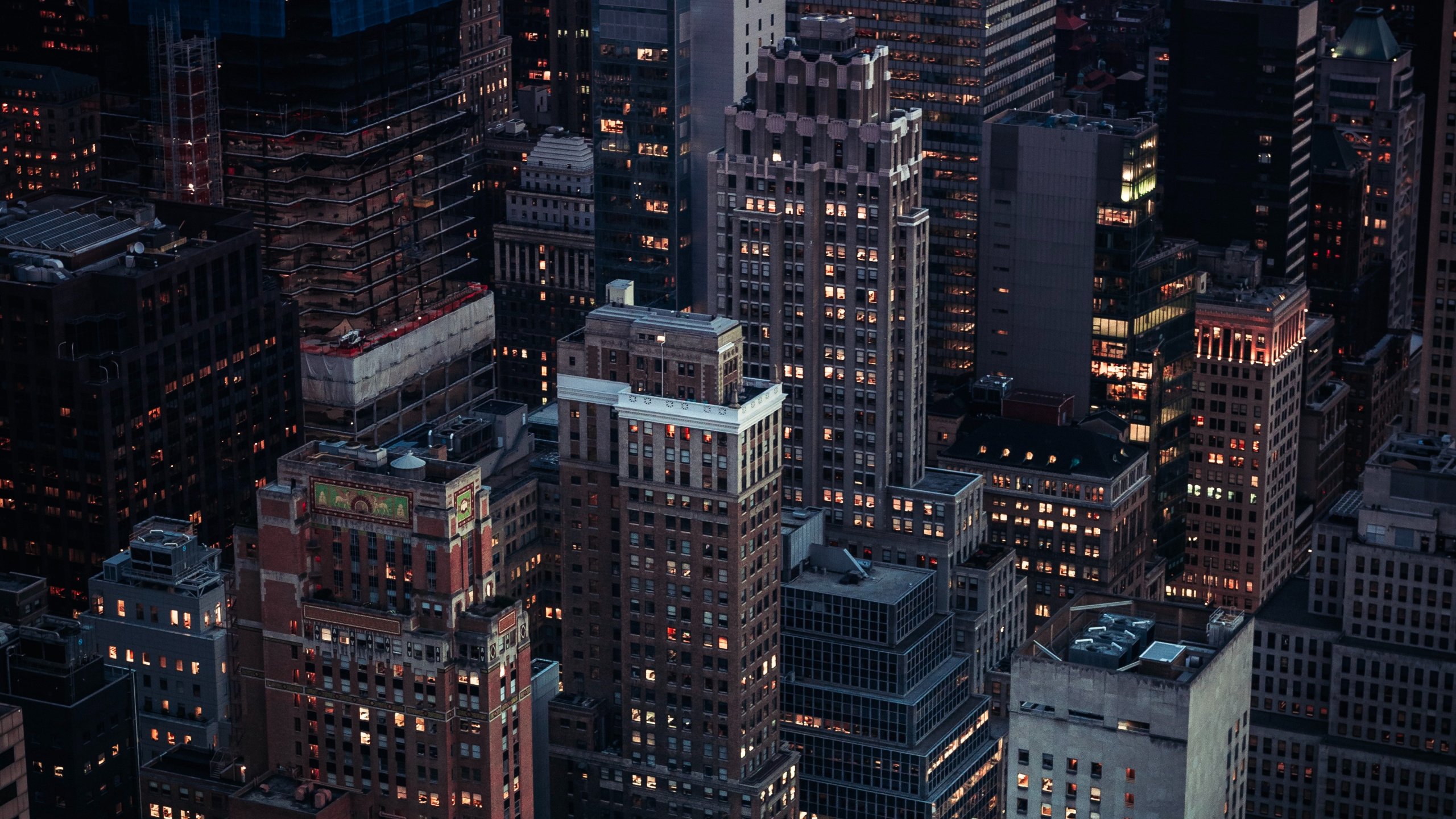 High Rise Buildings During Night Time. Wallpaper in 2560x1440 Resolution