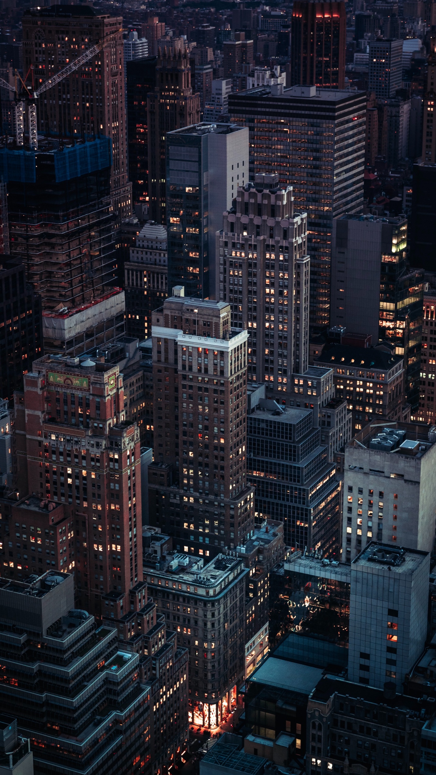 Immeubles de Grande Hauteur Pendant la Nuit. Wallpaper in 1440x2560 Resolution