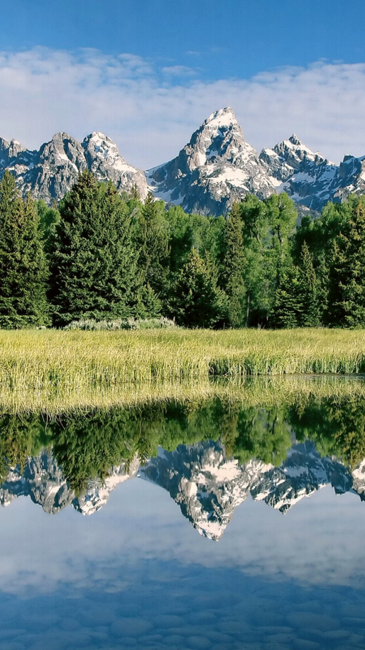 Grüne Bäume in Der Nähe Von See Und Schneebedeckten Bergen Tagsüber. Wallpaper in 750x1334 Resolution