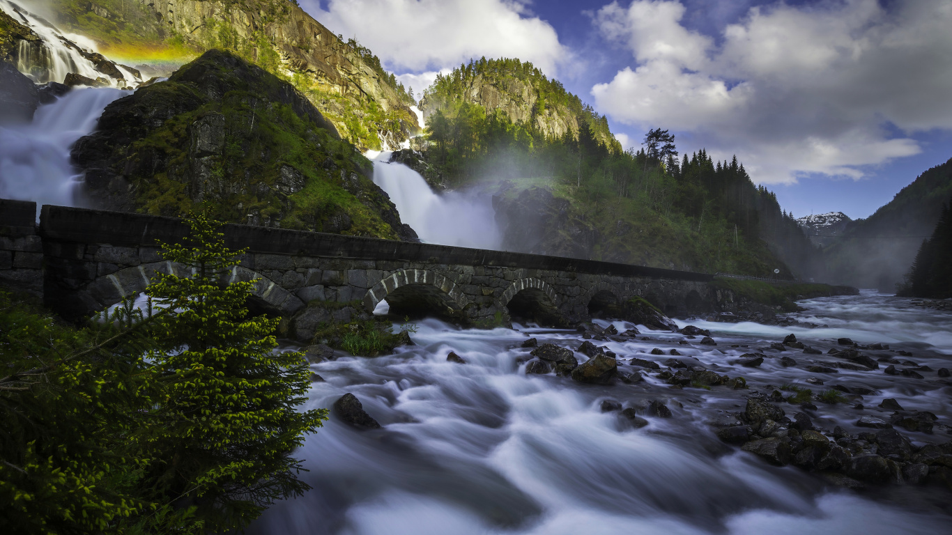 Green Trees Beside River Under White Clouds and Blue Sky During Daytime. Wallpaper in 1366x768 Resolution