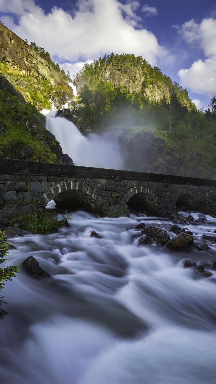 Green Trees Beside River Under White Clouds and Blue Sky During Daytime. Wallpaper in 750x1334 Resolution
