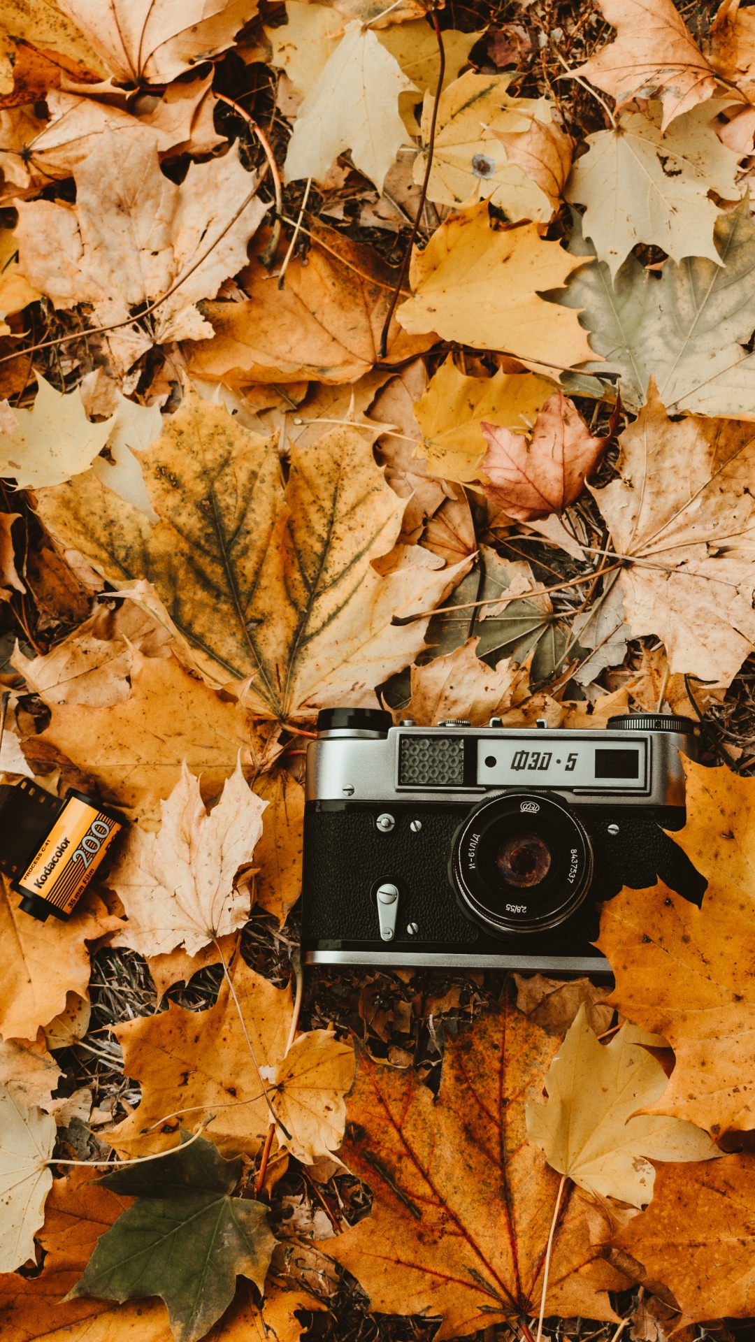 Appareil Photo Noir et Argent Sur Feuilles Brunes. Wallpaper in 1080x1920 Resolution