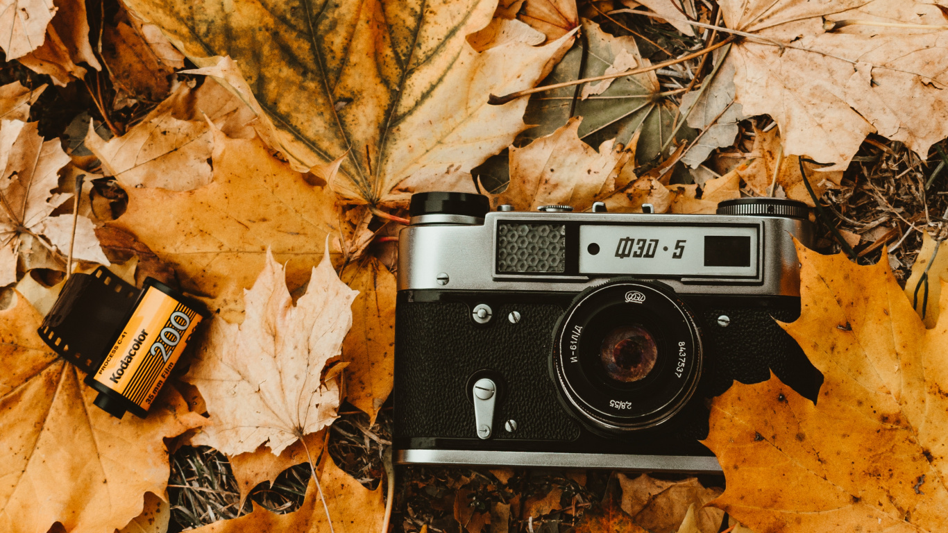 Appareil Photo Noir et Argent Sur Feuilles Brunes. Wallpaper in 1366x768 Resolution