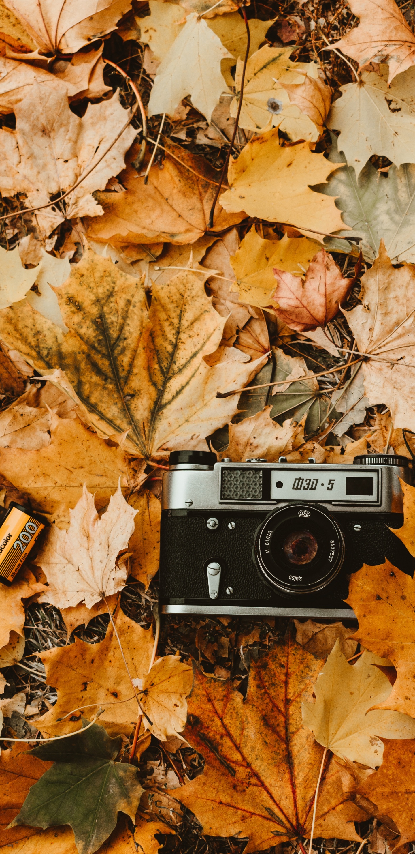 Appareil Photo Noir et Argent Sur Feuilles Brunes. Wallpaper in 1440x2960 Resolution