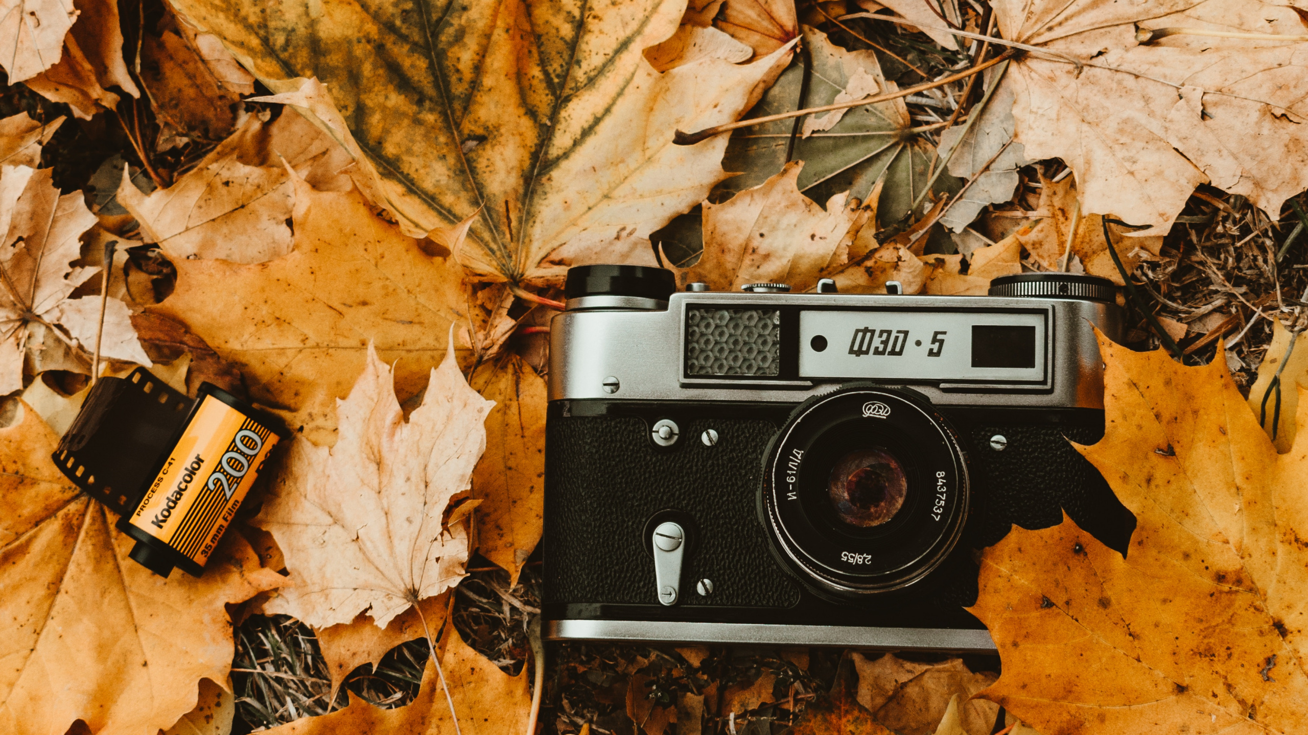 Appareil Photo Noir et Argent Sur Feuilles Brunes. Wallpaper in 2560x1440 Resolution