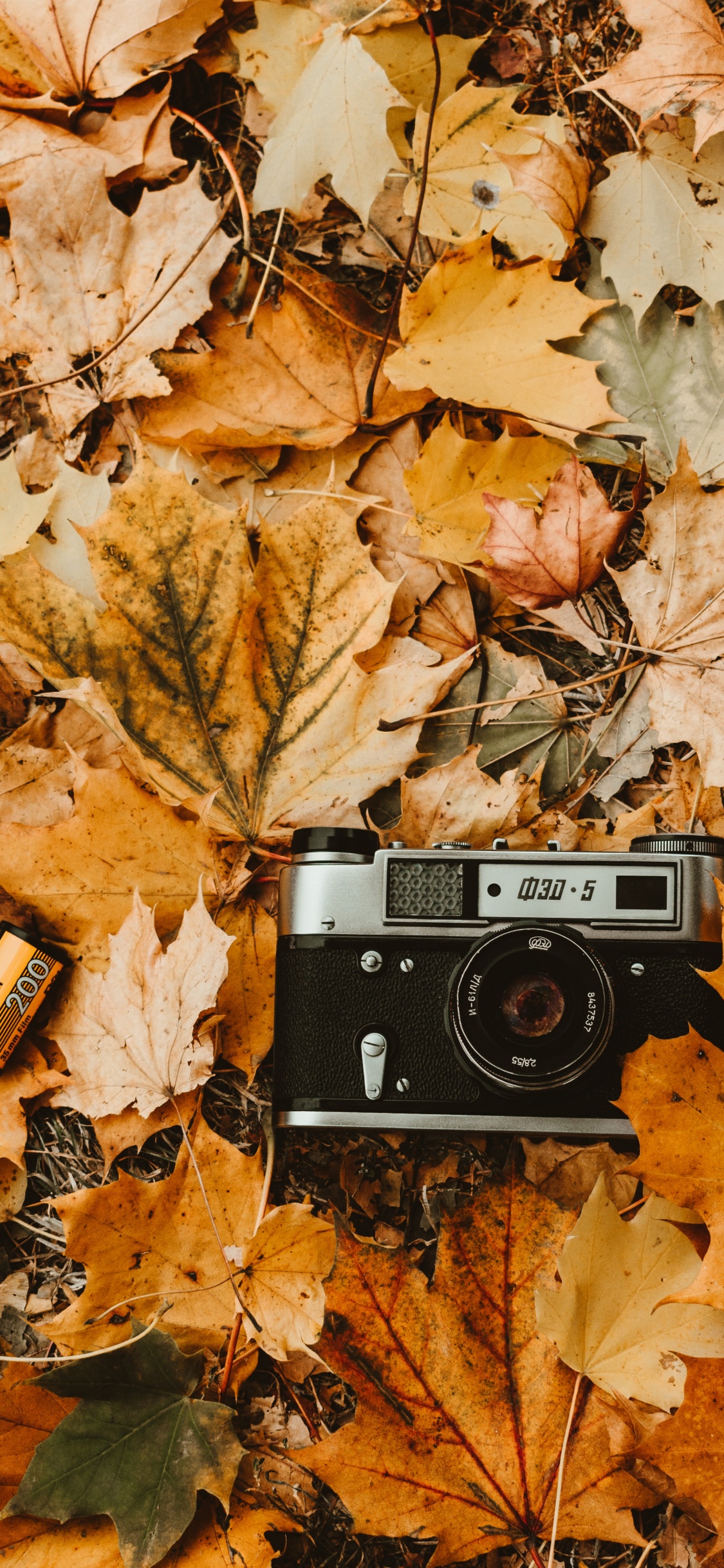 Black and Silver Camera on Brown Leaves. Wallpaper in 1125x2436 Resolution