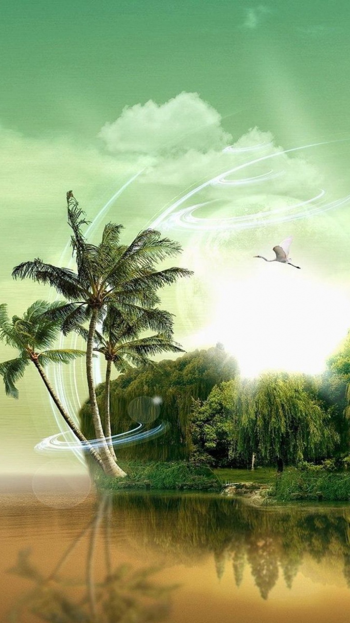 Arbres Verts Près du Lac Sous Ciel Bleu Pendant la Journée. Wallpaper in 720x1280 Resolution