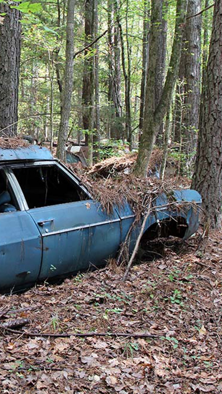 Sedán Azul Estacionado en el Bosque Durante el Día. Wallpaper in 720x1280 Resolution