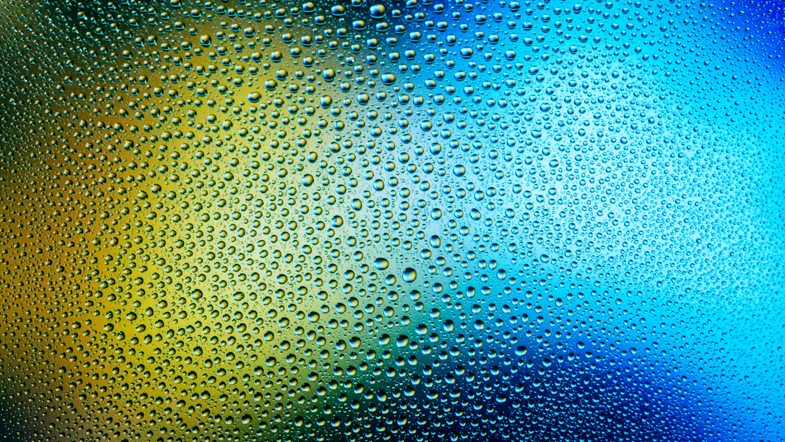 Textura, Escala Nus, Material Propiedad, Arte, Circulo. Wallpaper in 2560x1440 Resolution