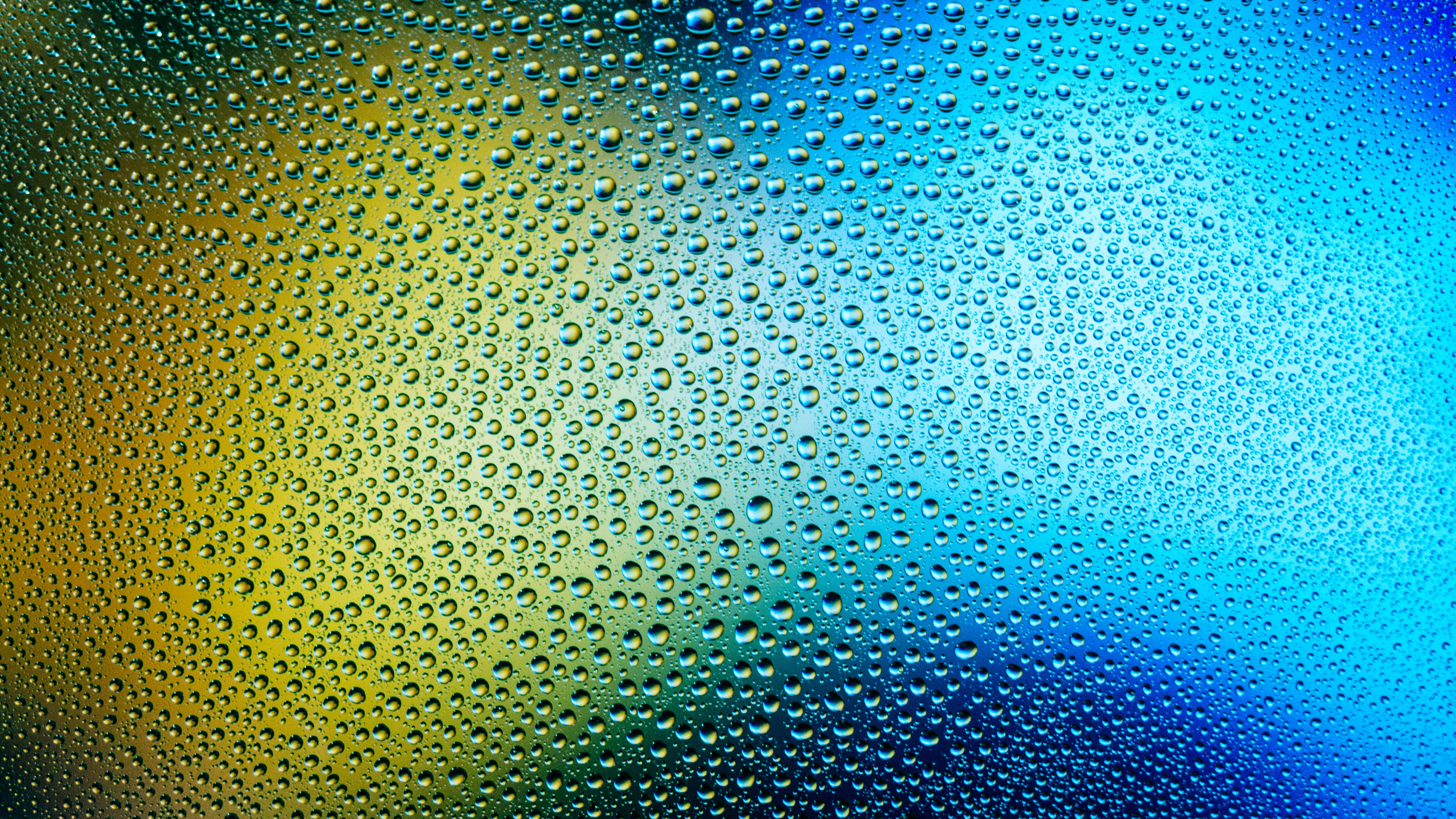 Texture, Nussschale, Material Property, Art, Circle. Wallpaper in 3840x2160 Resolution