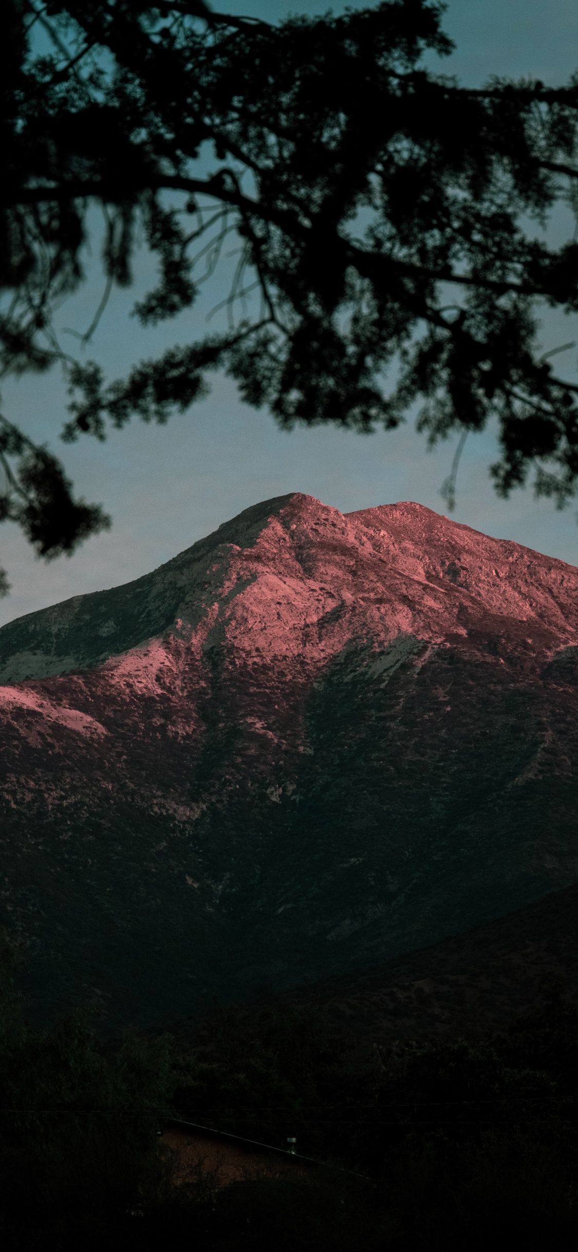 Natur, Baum, Wildnis, Hochland, Cloud. Wallpaper in 1125x2436 Resolution