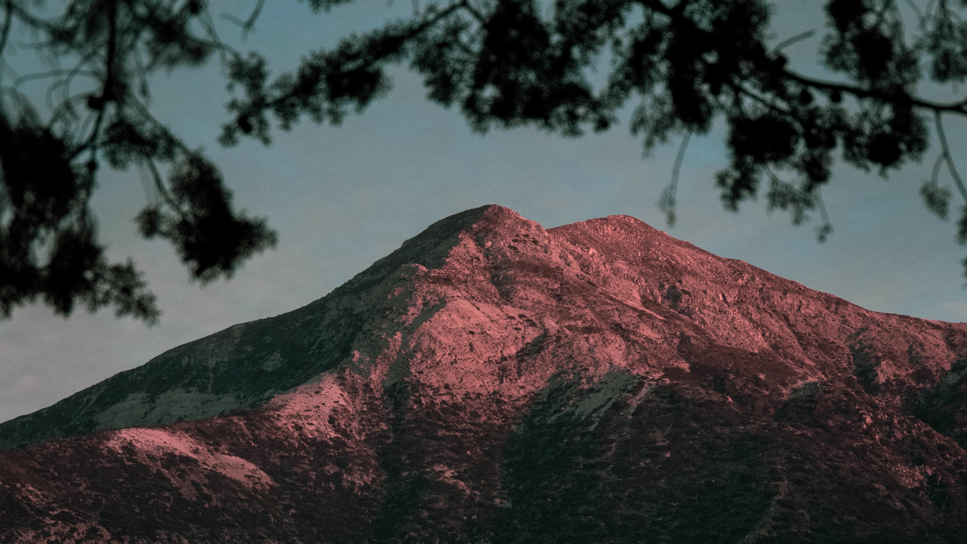 Natur, Baum, Wildnis, Hochland, Cloud. Wallpaper in 1920x1080 Resolution