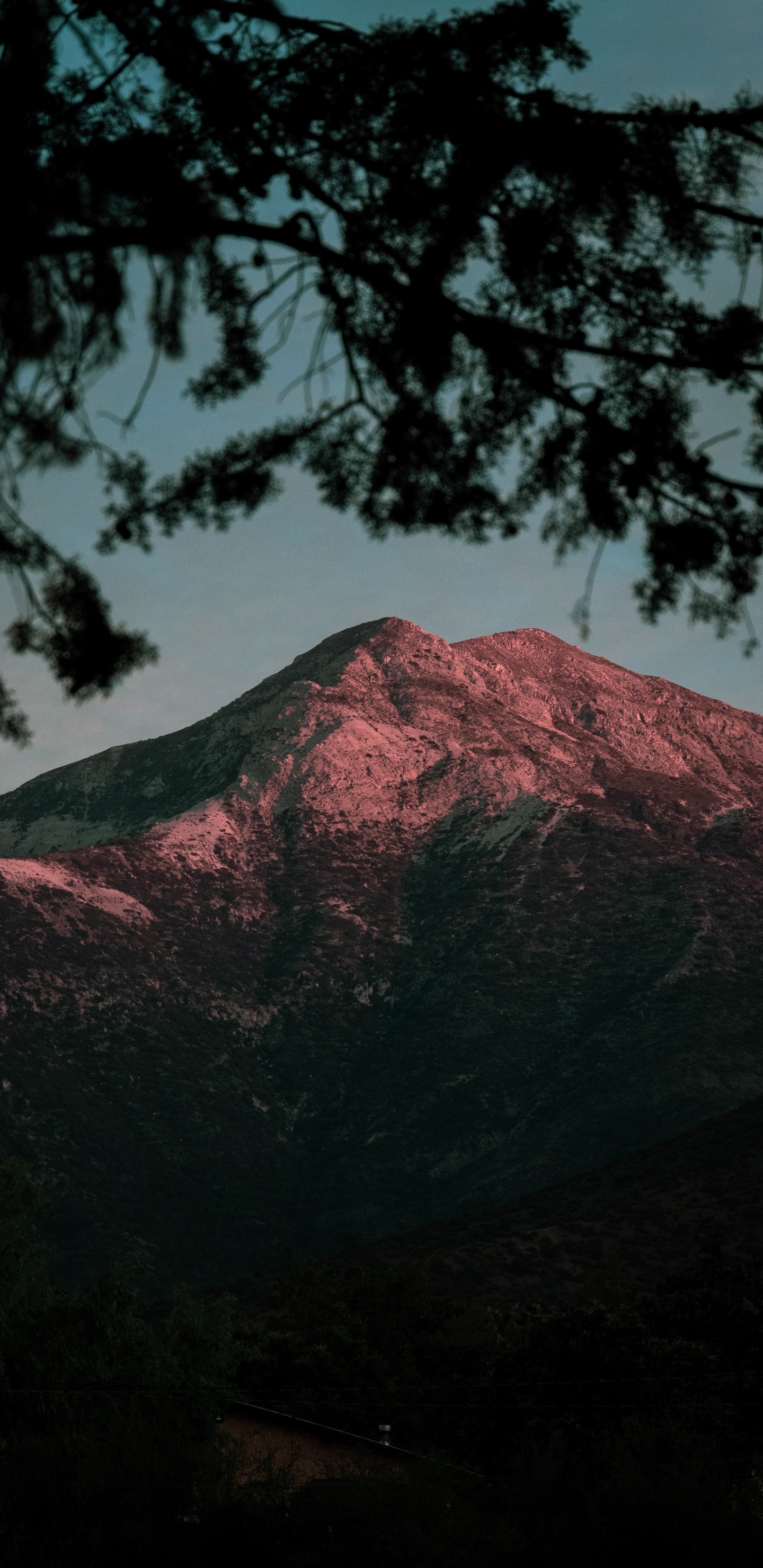 Nature, Mountain, Tree, Wilderness, Highland. Wallpaper in 1440x2960 Resolution