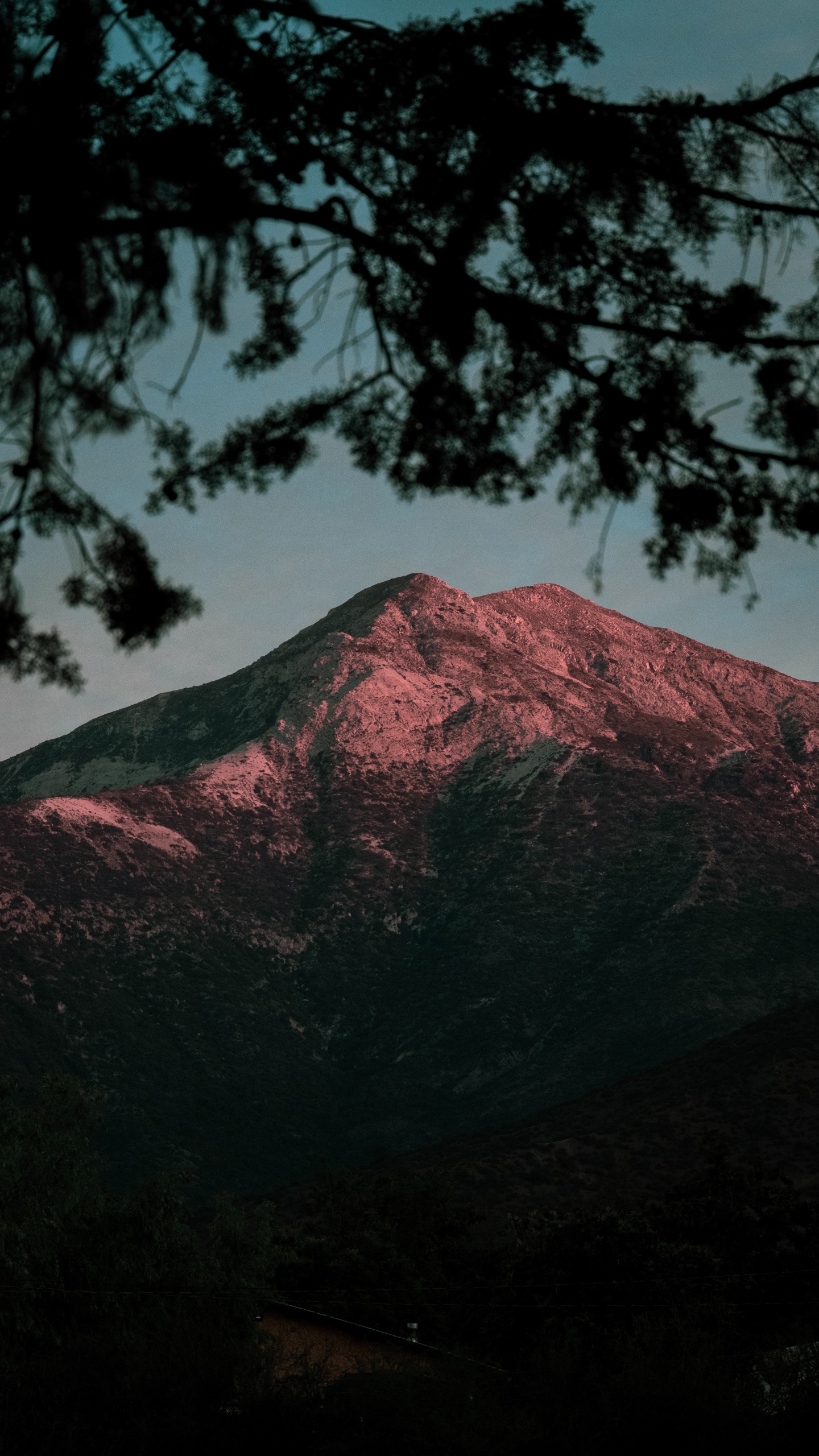 Naturaleza, Montaña, Desierto, Highland, Colina. Wallpaper in 1440x2560 Resolution