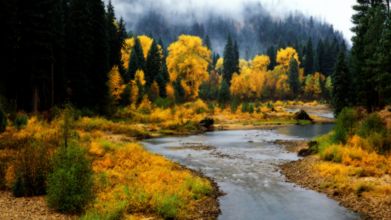 Green Trees Near River Under White Clouds During Daytime. Wallpaper in 1366x768 Resolution