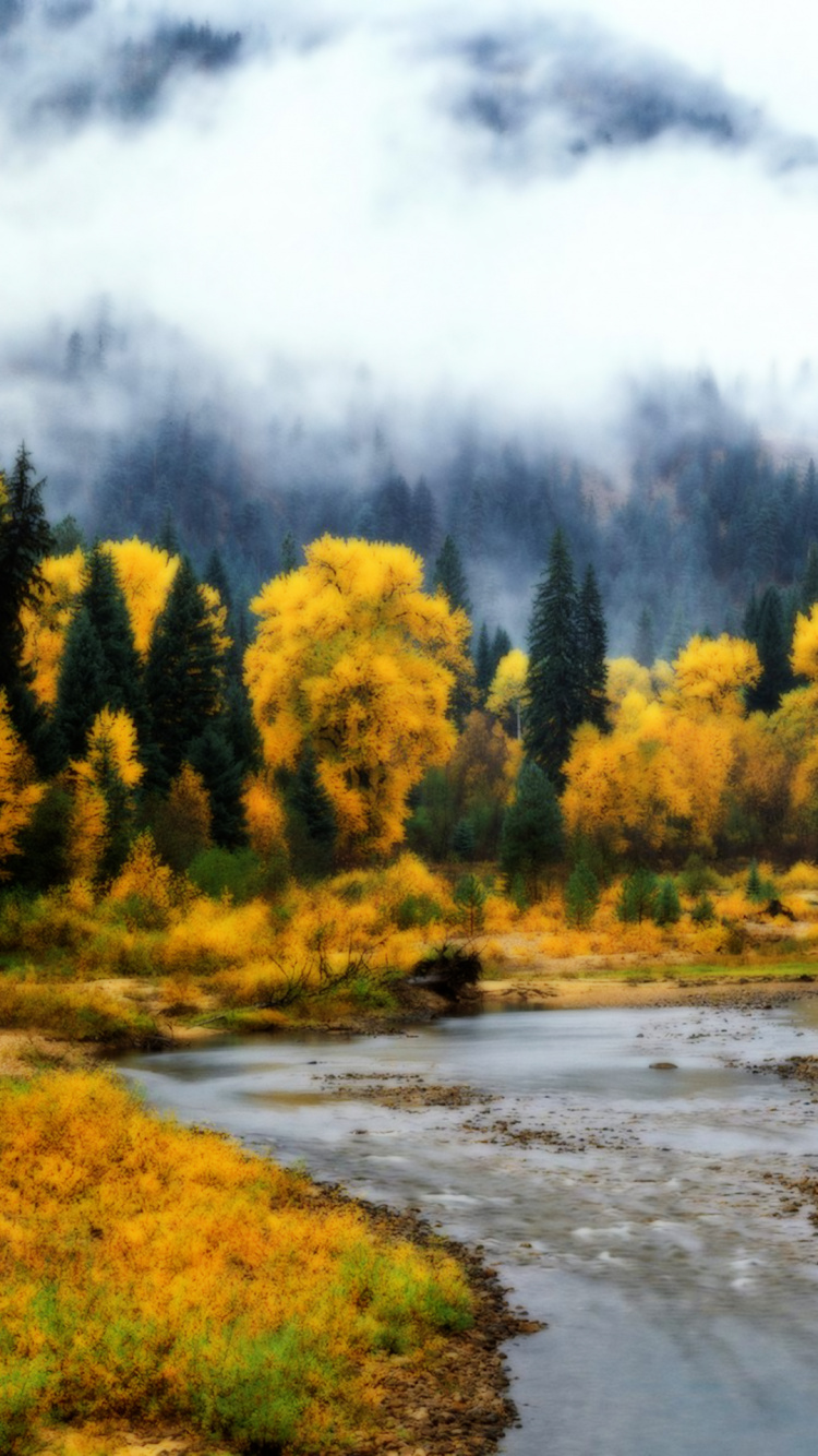 Arbres Verts Près de la Rivière Sous Des Nuages Blancs Pendant la Journée. Wallpaper in 750x1334 Resolution