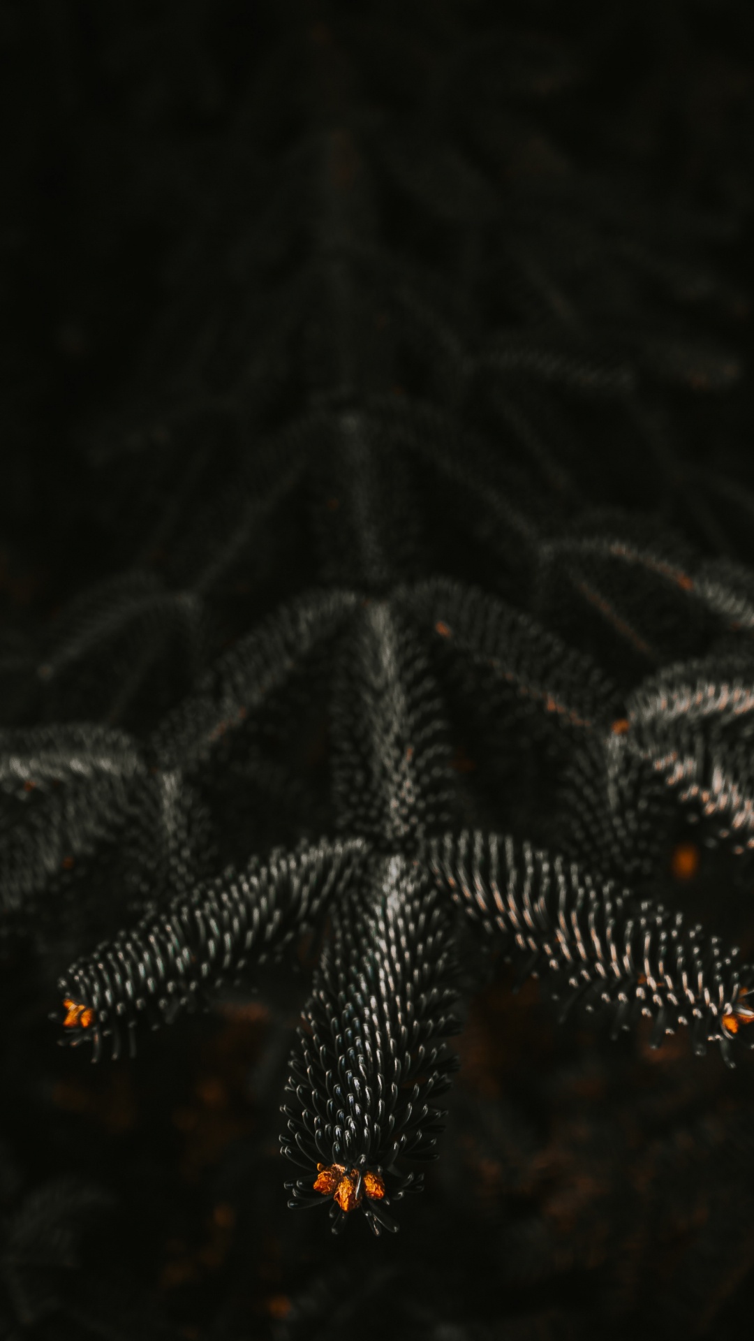 黑色的, 空间, 光, 天空 壁纸 1080x1920 允许