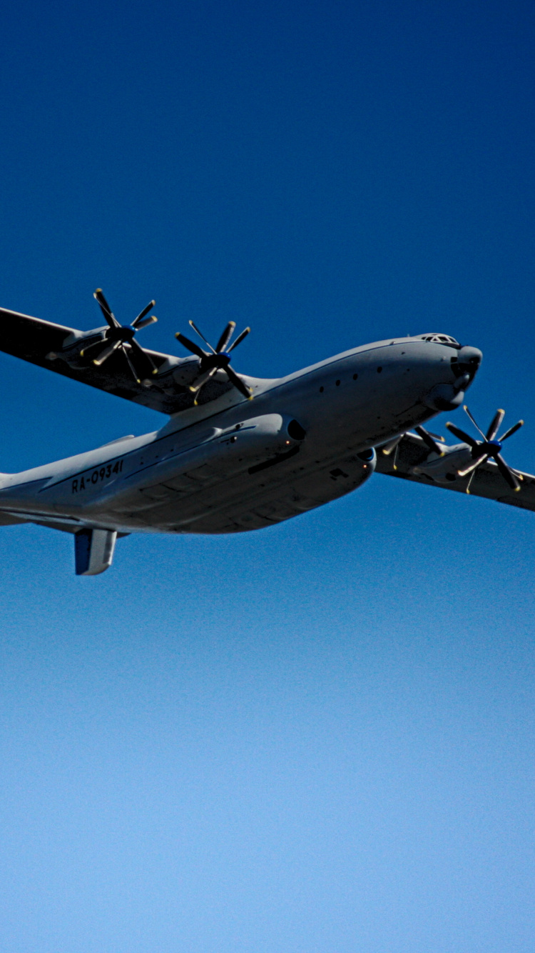 Gray and Black Airplane Under Blue Sky During Daytime. Wallpaper in 750x1334 Resolution