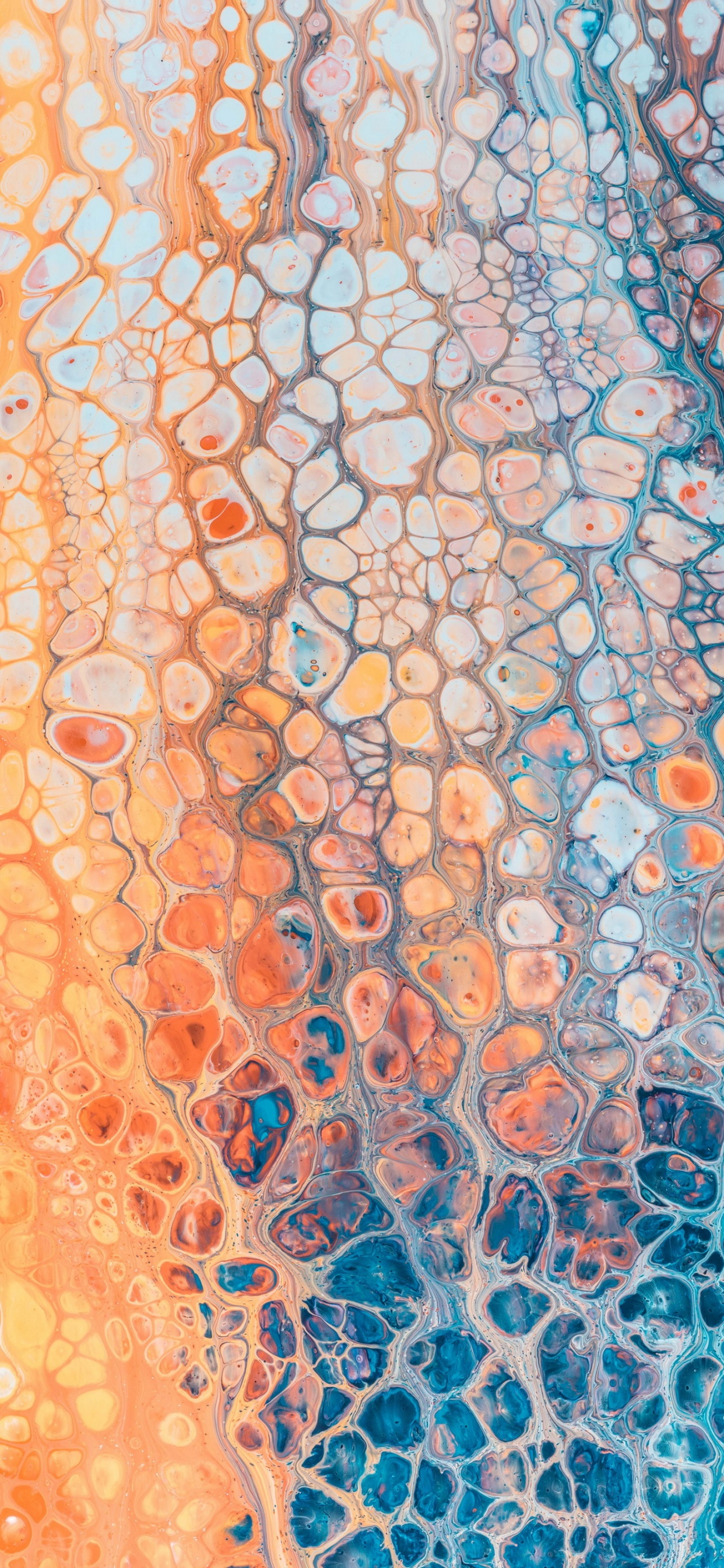 Naranja, Android, Smartphone, Arte, Circulo. Wallpaper in 1242x2688 Resolution