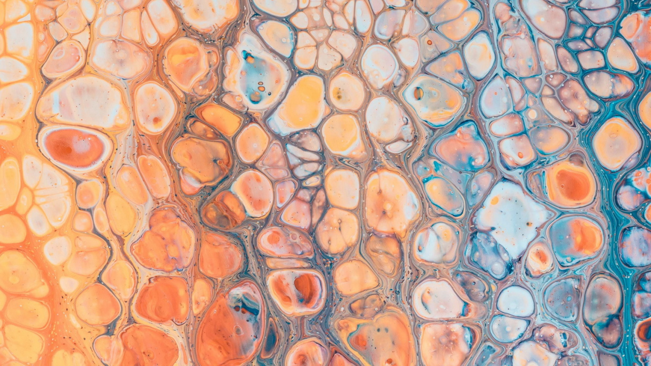 Naranja, Android, Smartphone, Arte, Circulo. Wallpaper in 1280x720 Resolution