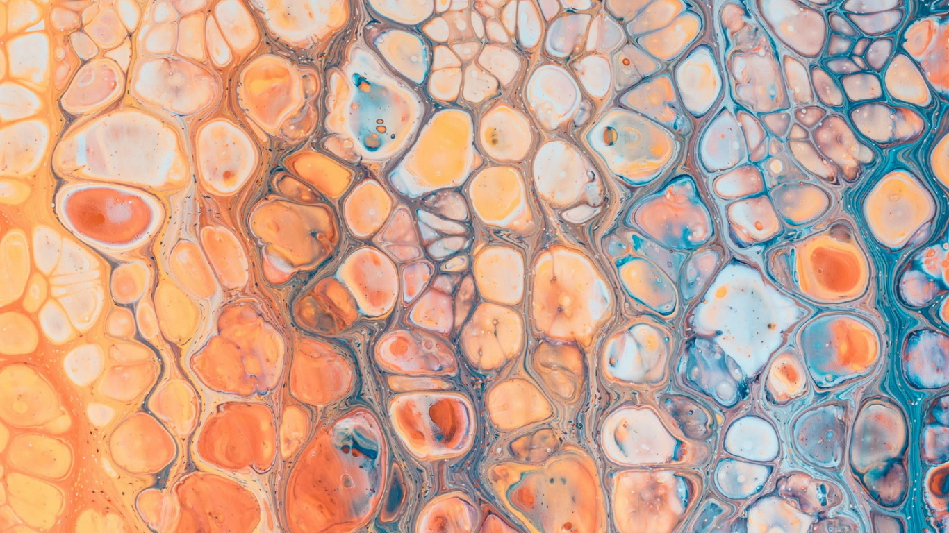 Naranja, Android, Smartphone, Arte, Circulo. Wallpaper in 1366x768 Resolution