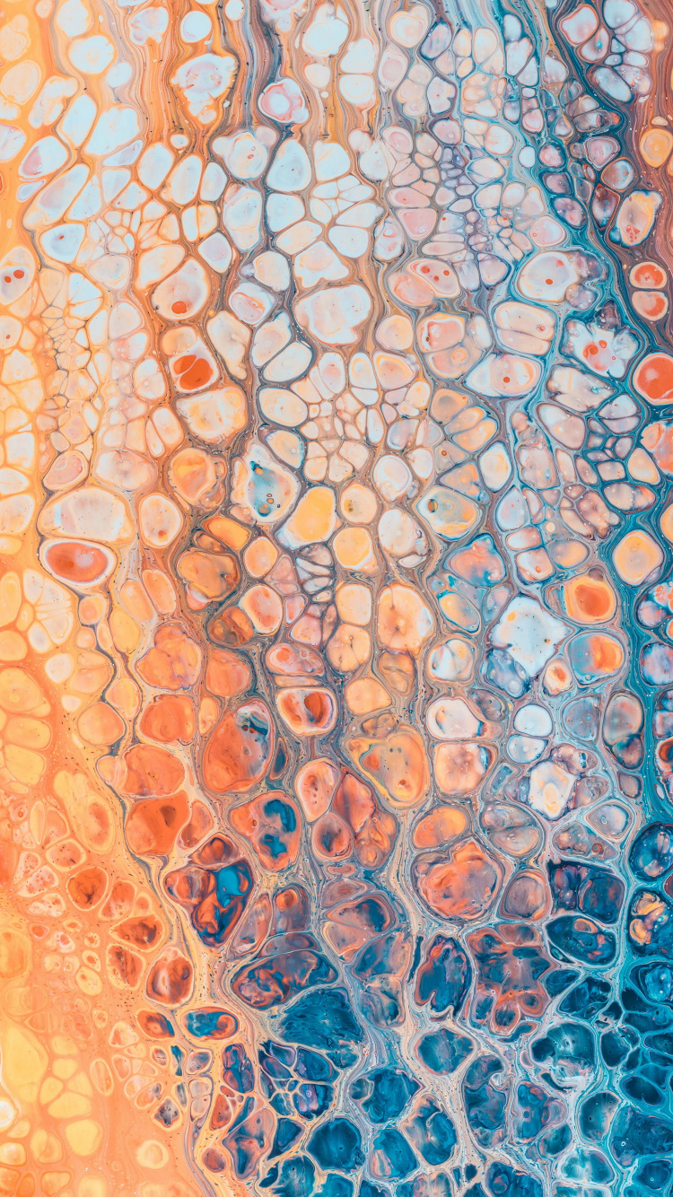 Orange, Android, Smartphone, Art, Cercle. Wallpaper in 750x1334 Resolution