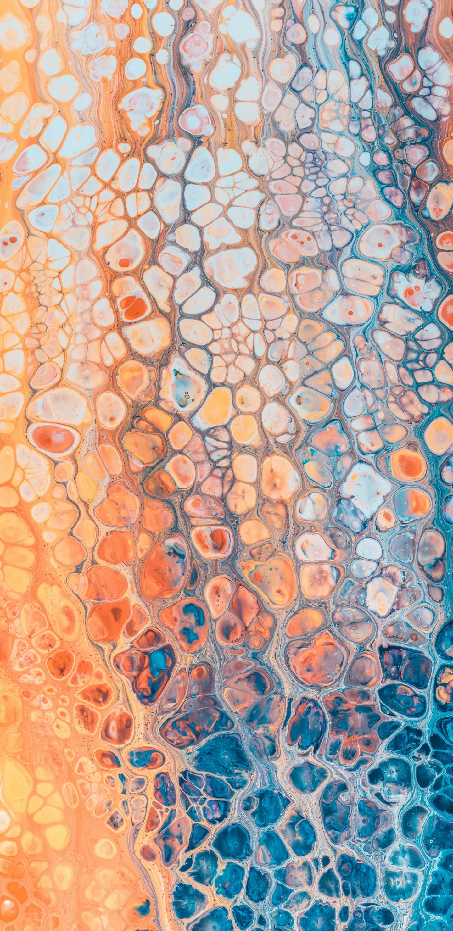 Orange, Android, Smartphone, Malerei, Kunst. Wallpaper in 1440x2960 Resolution