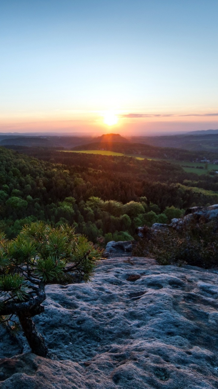 Arbres Verts Sur le Rivage Rocheux Pendant le Coucher du Soleil. Wallpaper in 720x1280 Resolution