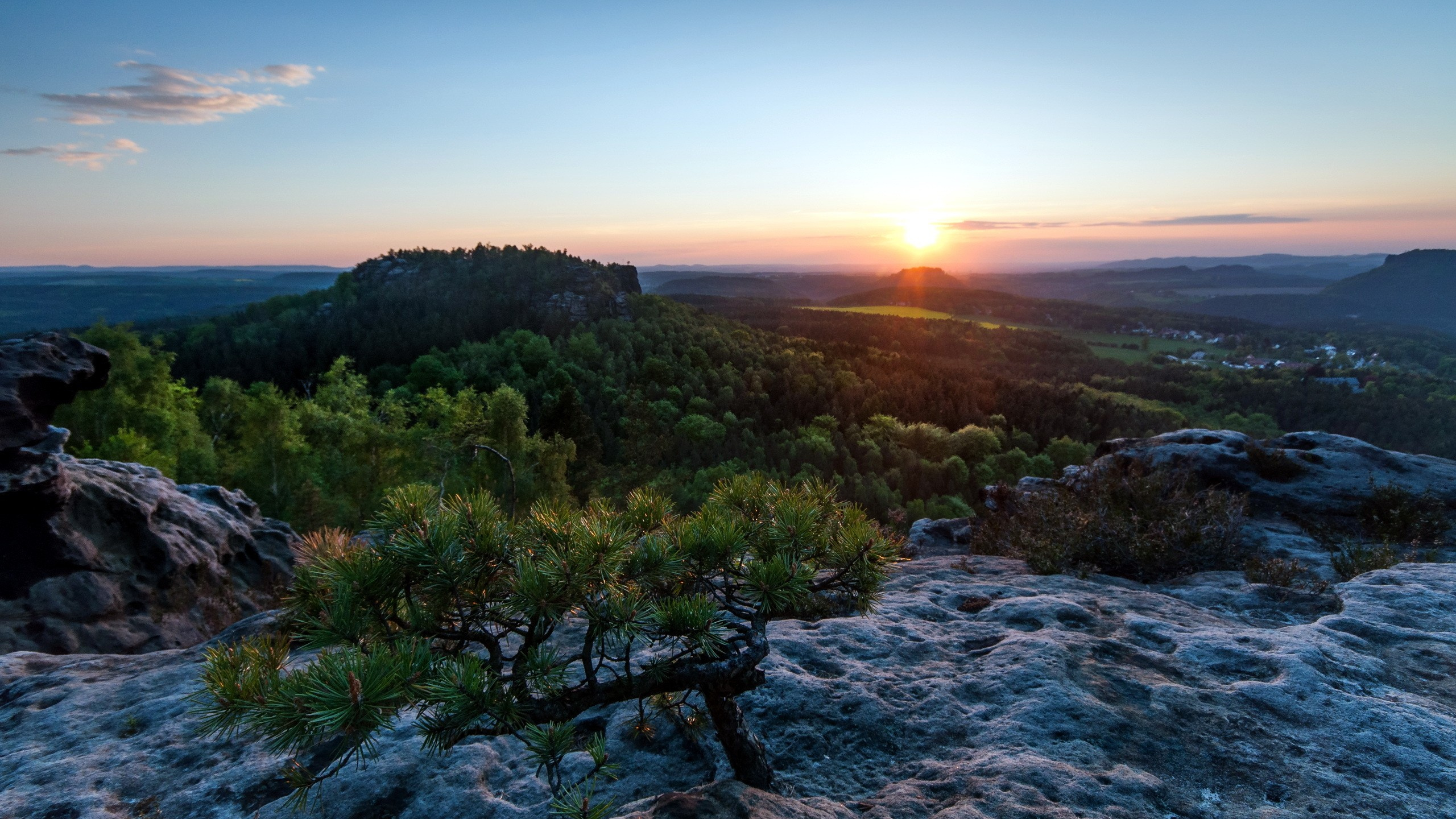 Green Trees on Rocky Shore During Sunset. Wallpaper in 2560x1440 Resolution