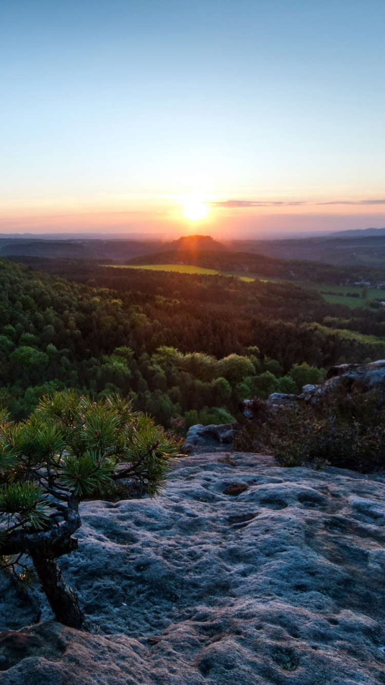 Green Trees on Rocky Shore During Sunset. Wallpaper in 750x1334 Resolution