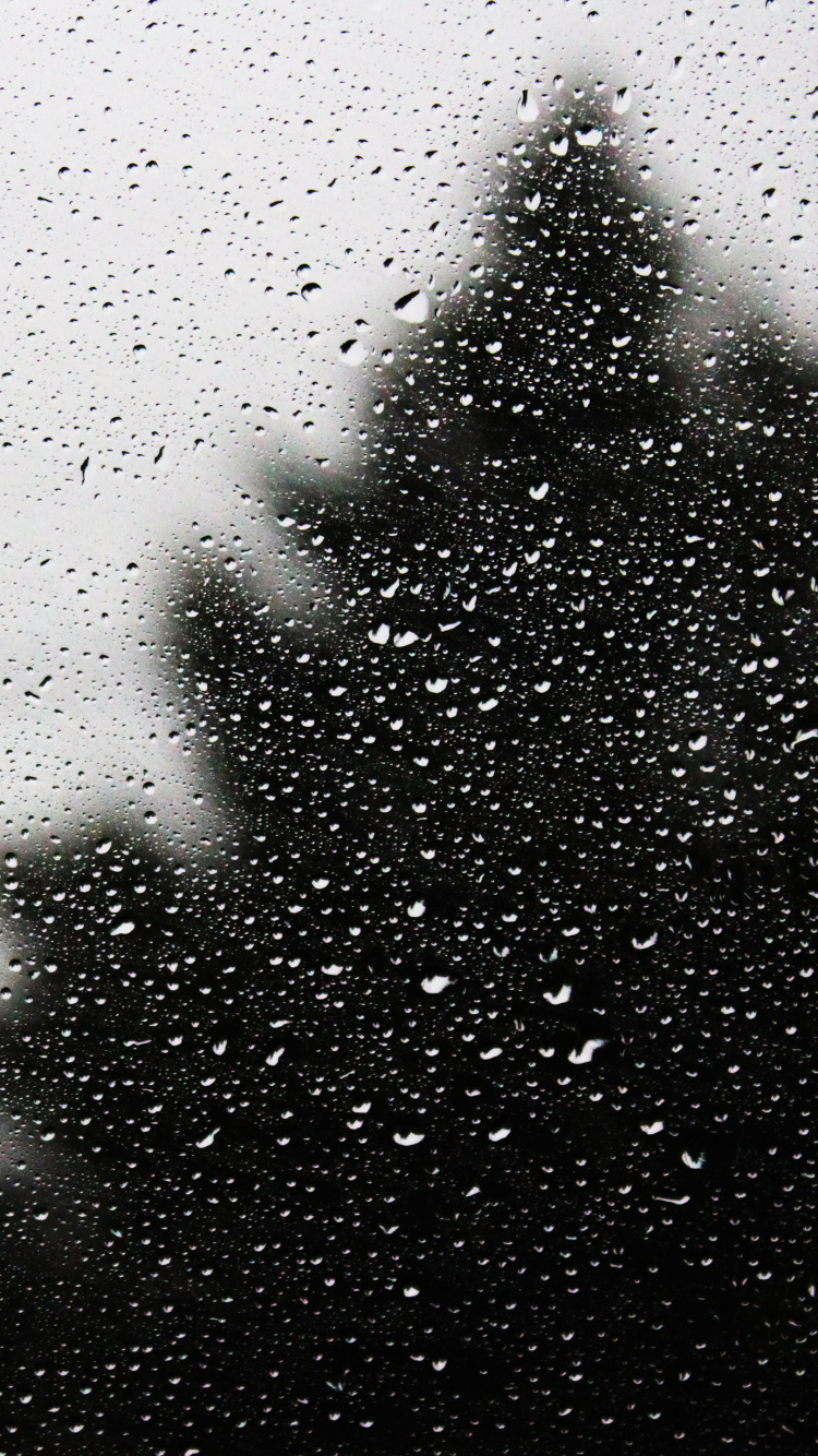 Wassertropfen Auf Glasscheibe. Wallpaper in 750x1334 Resolution