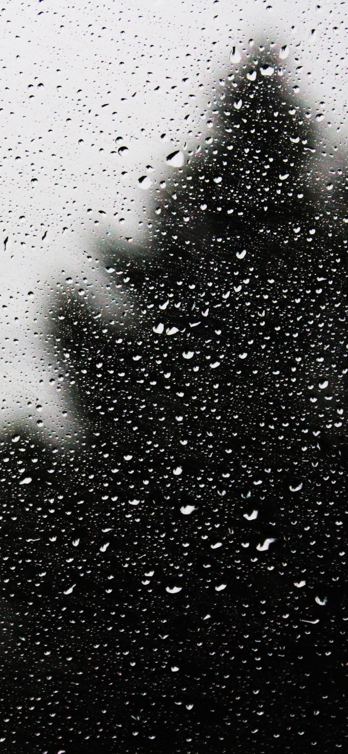 Gotas de Agua en el Panel de Vidrio. Wallpaper in 1125x2436 Resolution