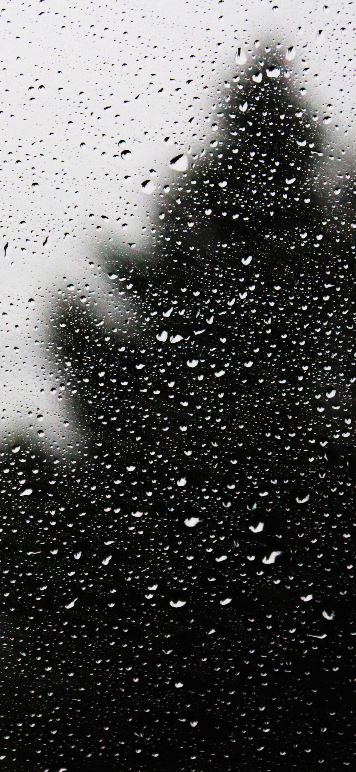 Gotas de Agua en el Panel de Vidrio. Wallpaper in 1242x2688 Resolution
