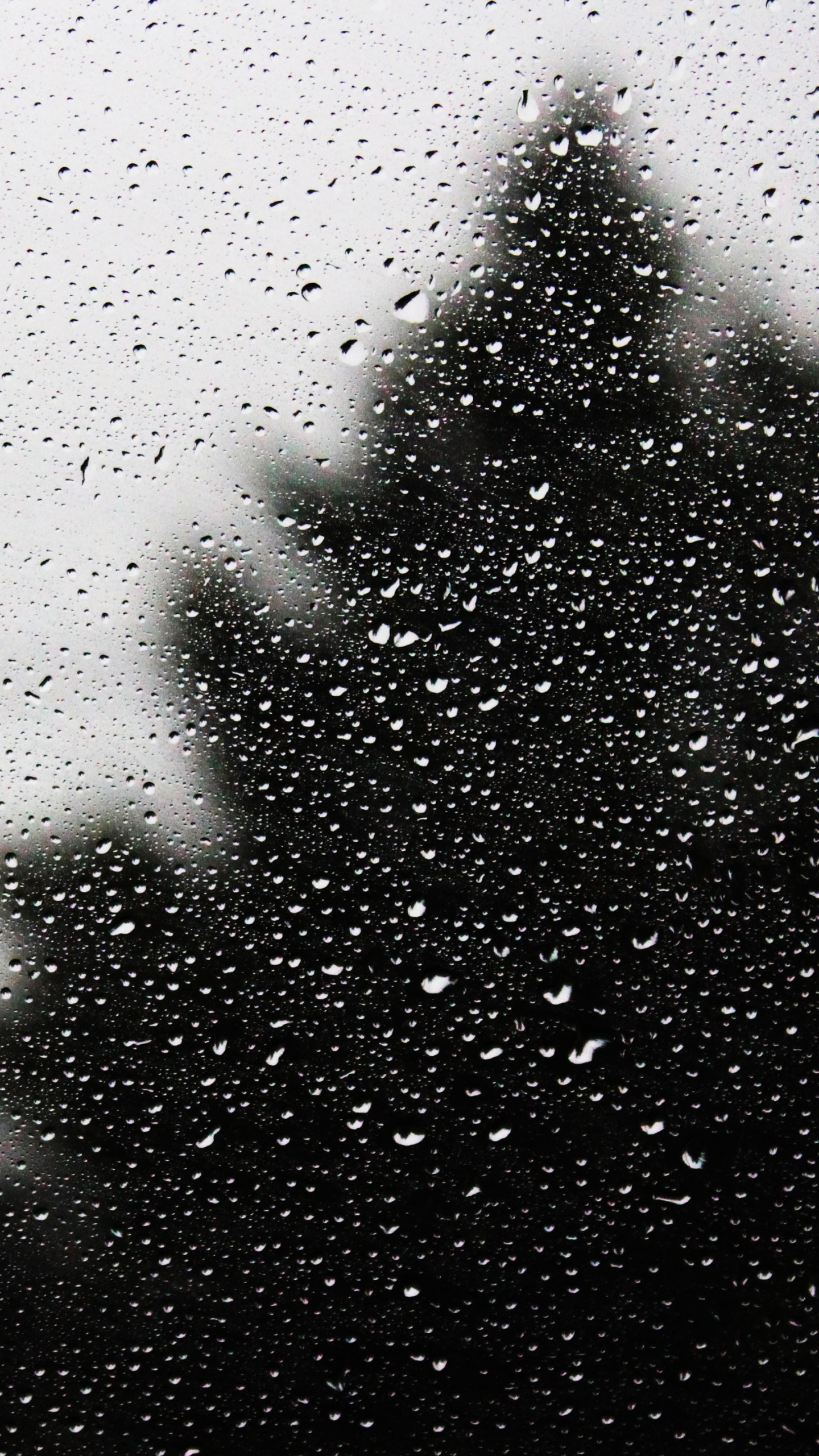 Gotas de Agua en el Panel de Vidrio. Wallpaper in 1440x2560 Resolution