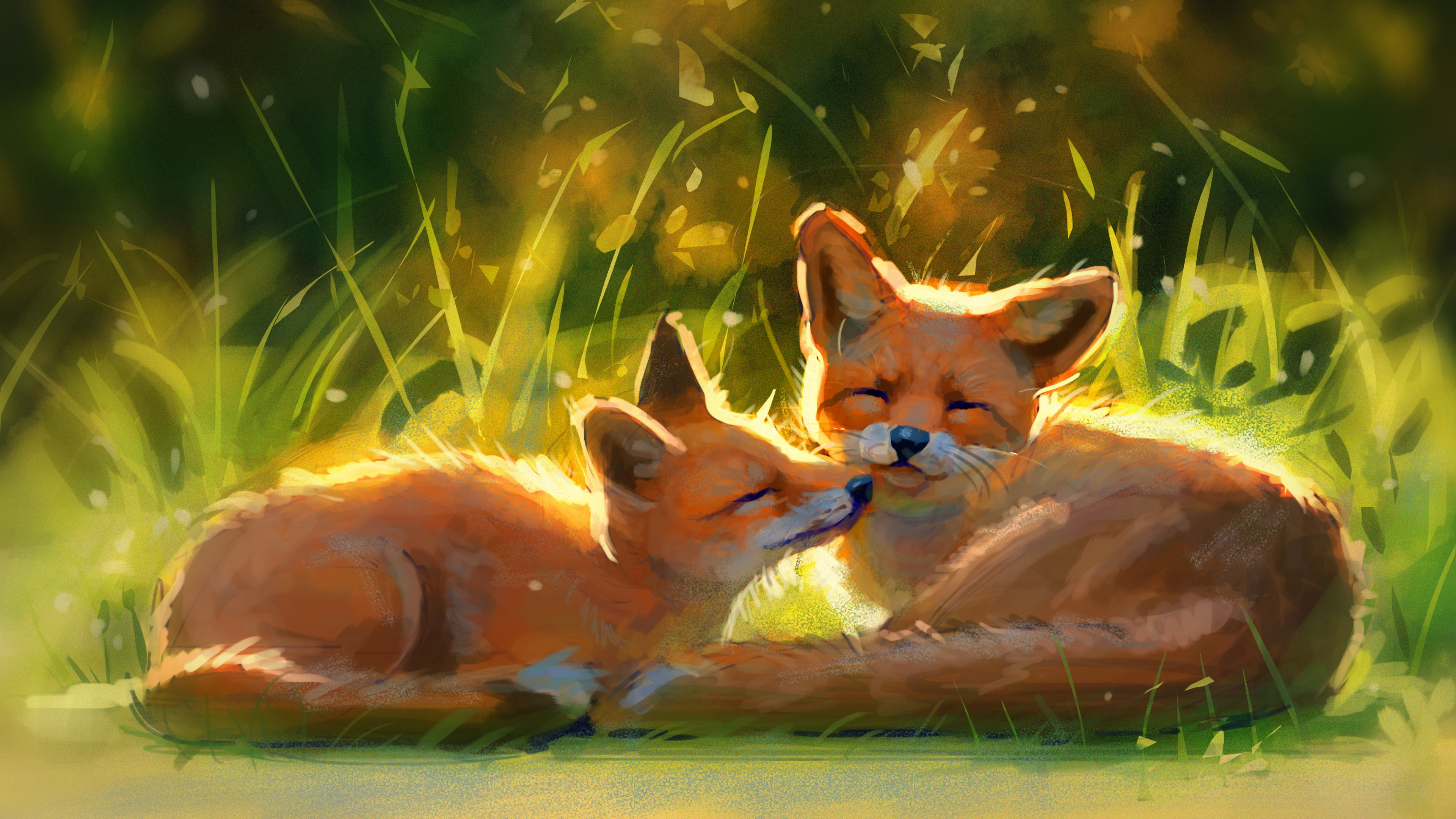 2 Orange and White Fox Lying on Green Grass During Daytime. Wallpaper in 3840x2160 Resolution
