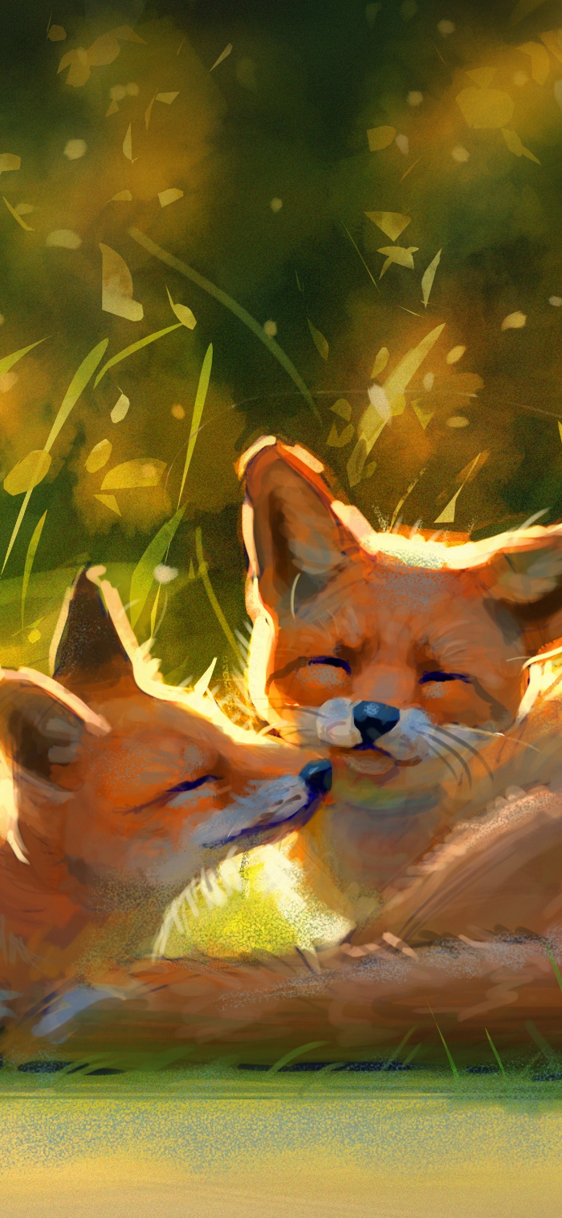 2 Orange-weiße Füchse, Die Tagsüber Auf Grünem Gras Liegen. Wallpaper in 1125x2436 Resolution