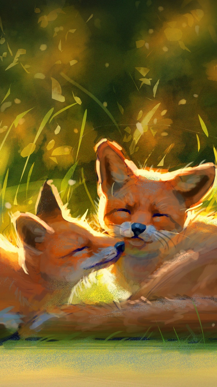 2 Orange-weiße Füchse, Die Tagsüber Auf Grünem Gras Liegen. Wallpaper in 720x1280 Resolution