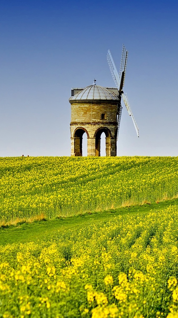 Braune Windmühle Auf Grünem Grasfeld Unter Blauem Himmel Tagsüber. Wallpaper in 720x1280 Resolution