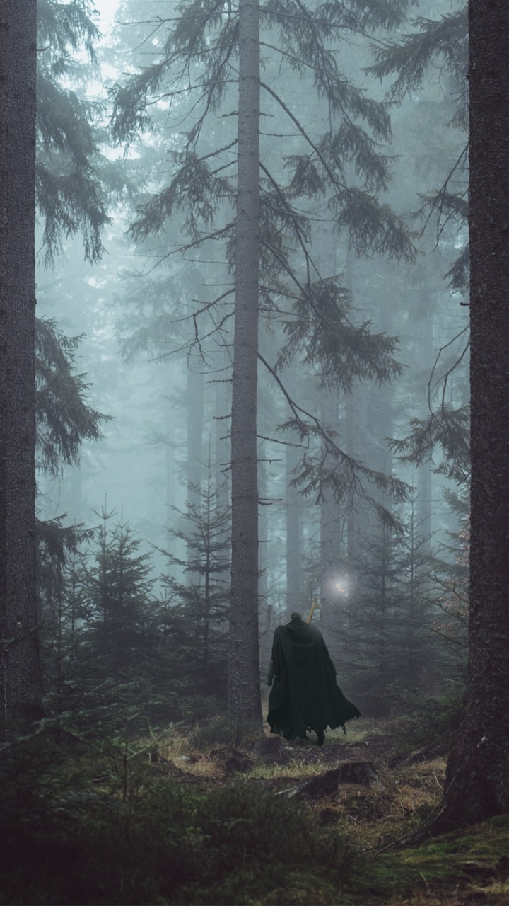 Person in Black Coat Standing in The Woods. Wallpaper in 720x1280 Resolution