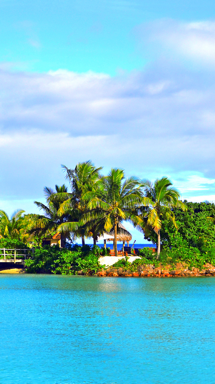 Brown Wooden House Near Green Palm Trees and Body of Water During Daytime. Wallpaper in 750x1334 Resolution