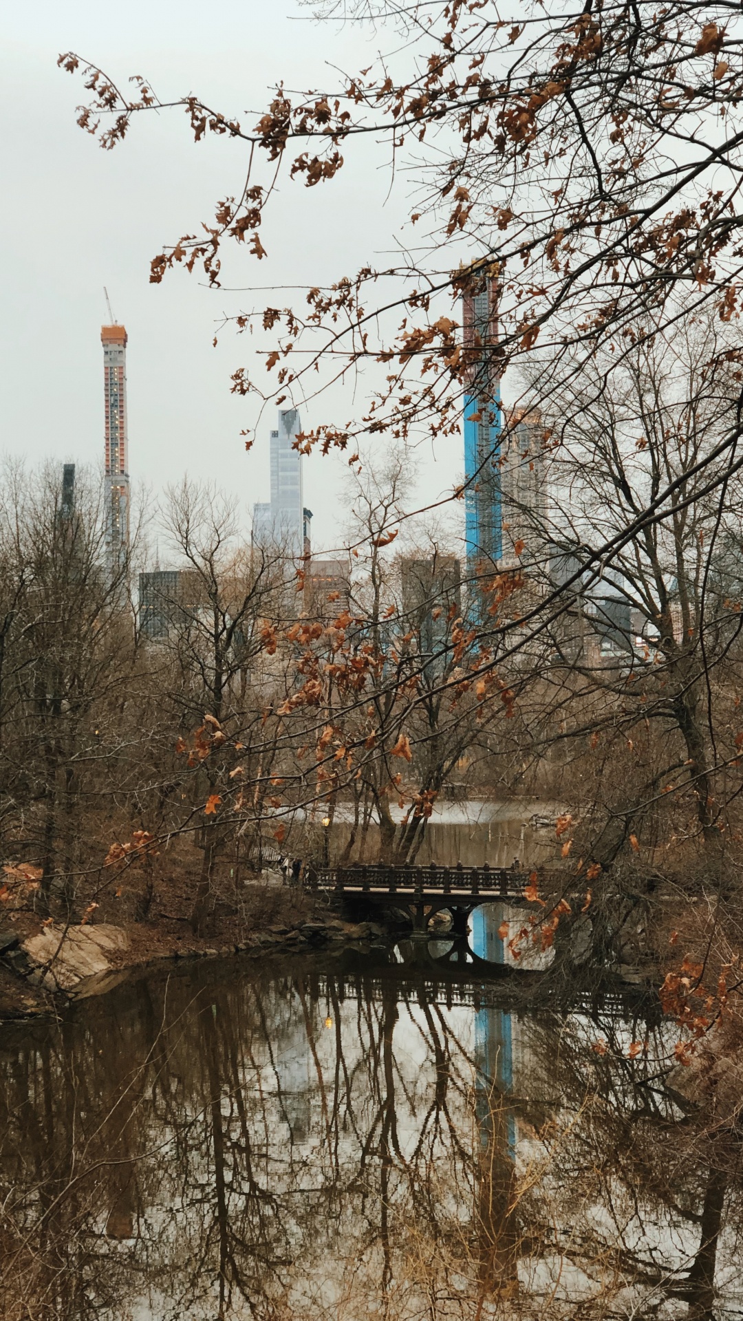 Reflection, Water, Biology, Branch, Twig. Wallpaper in 1080x1920 Resolution