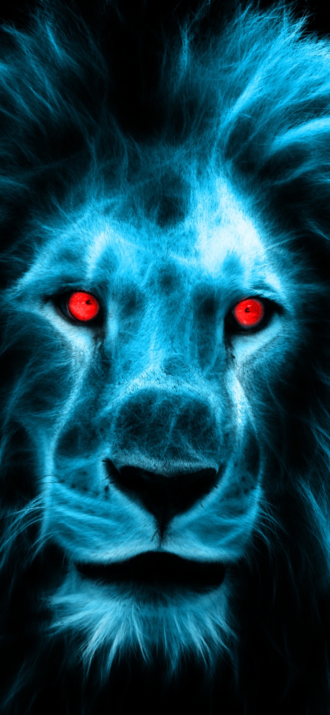 狮子, 海报, 野生动物, 电蓝色的, 大型猫科动物 壁纸 1125x2436 允许