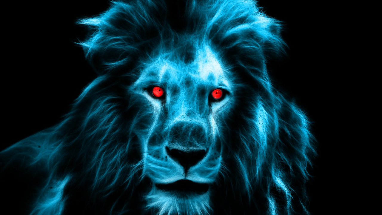 狮子, 海报, 野生动物, 电蓝色的, 大型猫科动物 壁纸 1280x720 允许