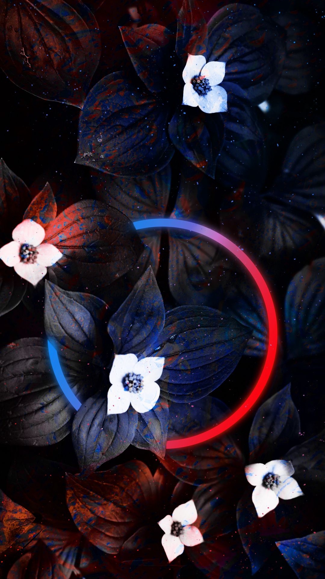 Darkness, Flower, White, Petal, Light. Wallpaper in 1080x1920 Resolution