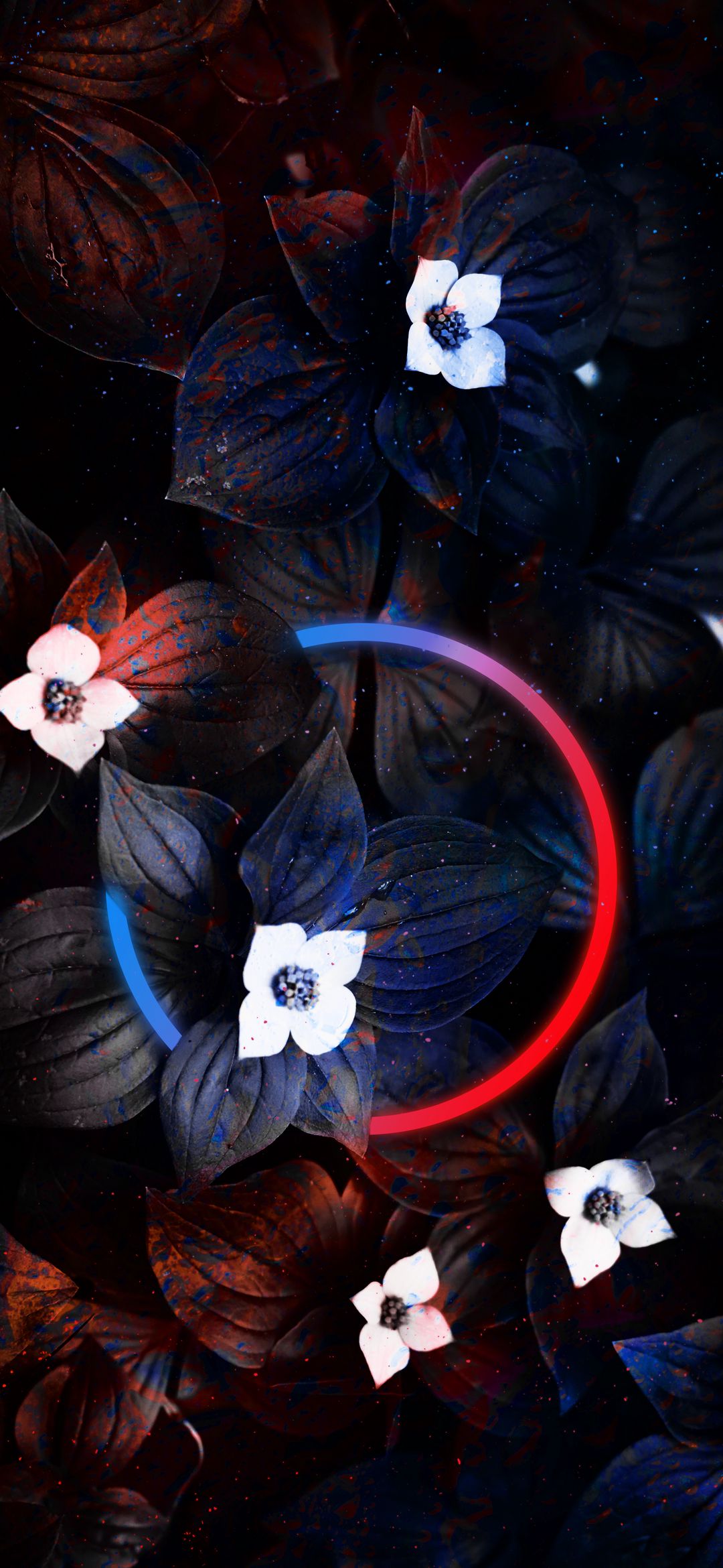 30000 Dark Flowers Pictures  Download Free Images on Unsplash